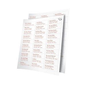 White Inkjet/Laser Address Labels 1 in x 2 5/8 in 7500/Pk