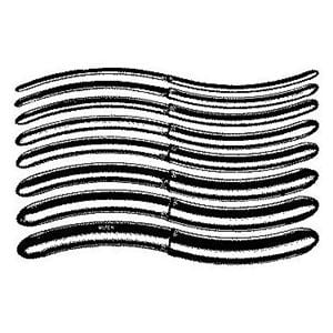 Hegar Uterine Dilator 7" Stainless Steel Reusable Ea