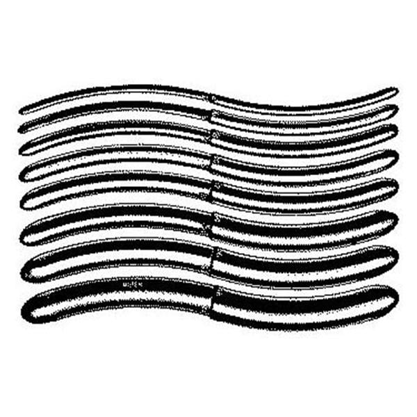 Hegar Uterine Dilator 7" Stainless Steel Reusable Ea