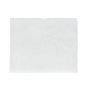 Thermo Fisher Chemiclave Cleaning Pads 6/Pk