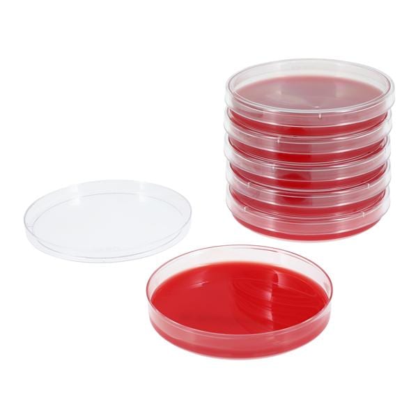 BBL Prepared Media TSA II: Trypticase Soy Agar II Plate 10x10/Bx